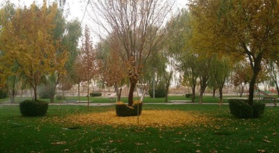  لنجان شهرستان اصفهان استان اصفهان