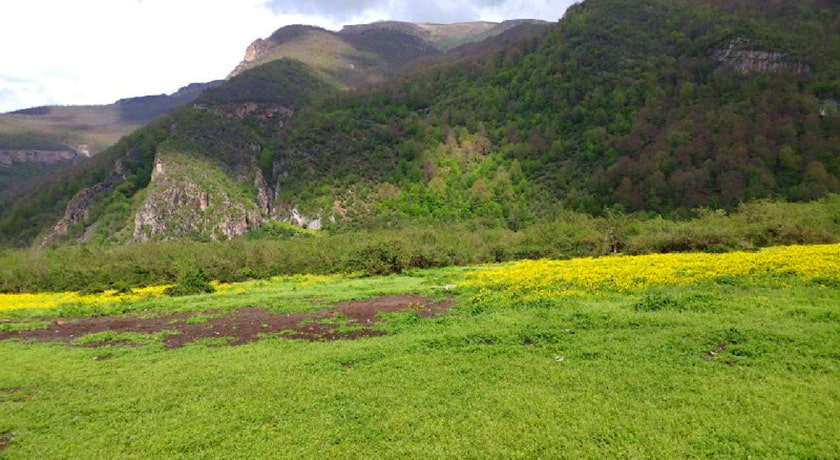  پناهگاه حیات وحش دشت ناز شهرستان مازندران استان ساری