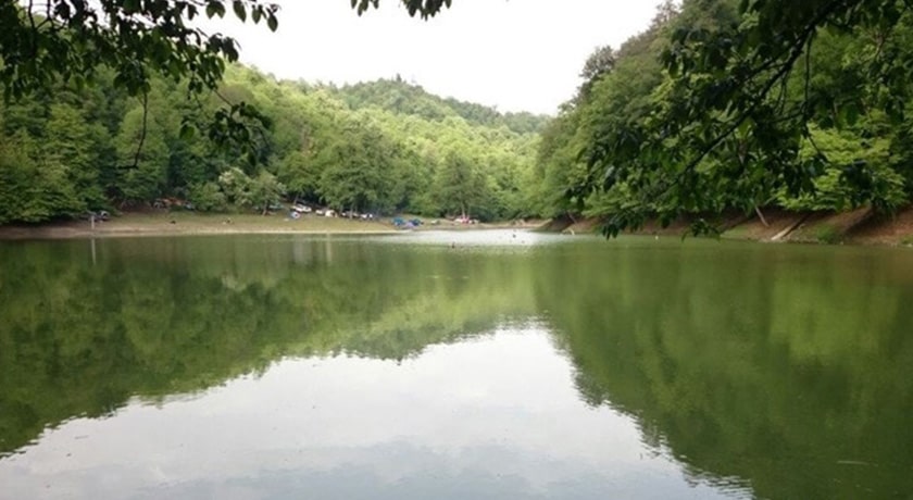 جنگل هزار جریب -  شهر بهشهر