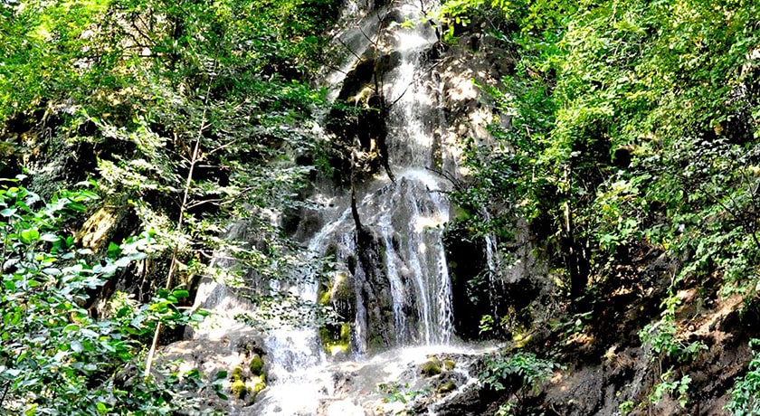 جنگل هزار جریب -  شهر بهشهر