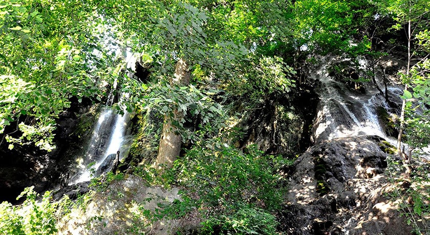  جنگل هزار جریب شهرستان مازندران استان بهشهر