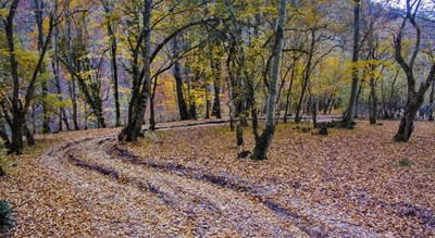  دریاچه چورت (میانشه) شهرستان مازندران استان ساری