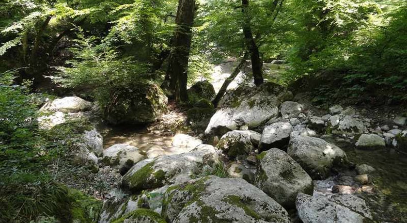 روستای پاجی -  شهر مازندران