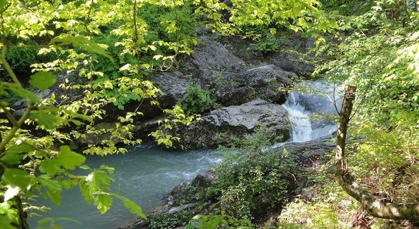  روستای پاجی شهرستان مازندران استان ساری