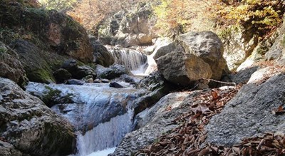  روستای پاجی شهرستان مازندران استان ساری