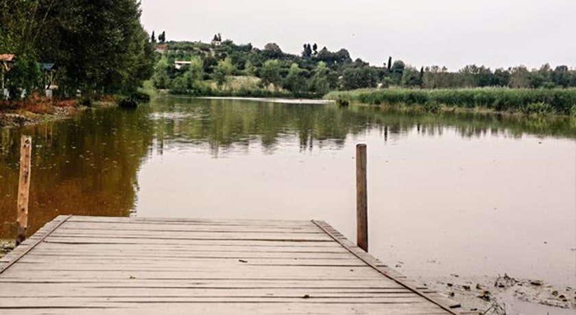  باغ نیلوفر آبی ساری شهرستان مازندران استان ساری