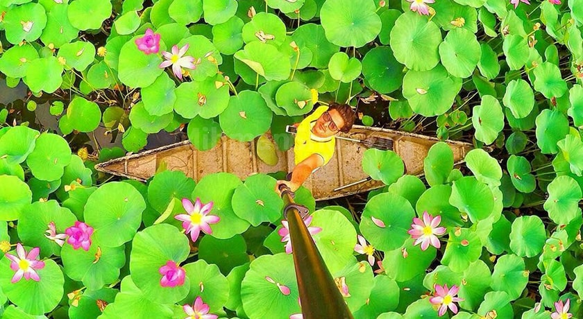  باغ نیلوفر آبی ساری شهرستان مازندران استان ساری