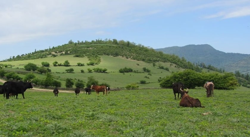  روستای سیاوش کلا شهرستان مازندران استان ساری