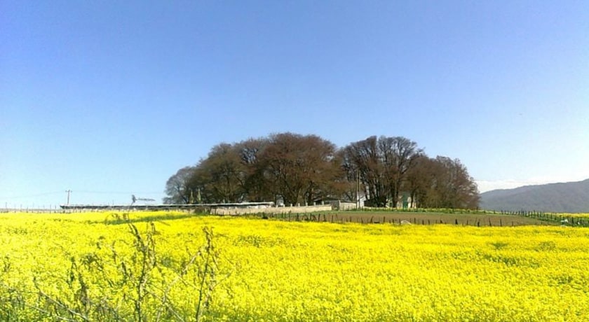  روستای ورند شهرستان مازندران استان ساری
