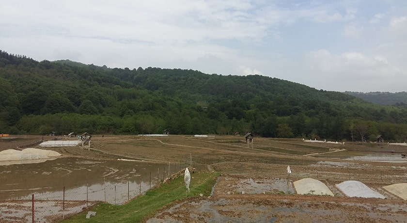  روستای ارزفون شهرستان مازندران استان ساری