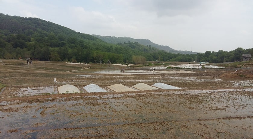  روستای ارزفون شهرستان مازندران استان ساری