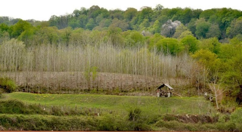  روستای ارزفون شهرستان مازندران استان ساری