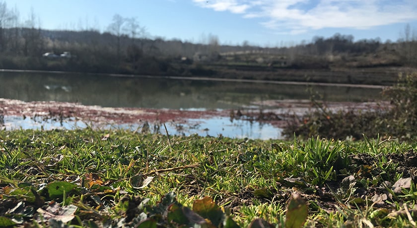  روستای ارزفون شهرستان مازندران استان ساری