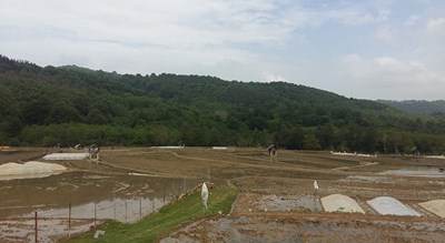  روستای ارزفون شهرستان مازندران استان ساری