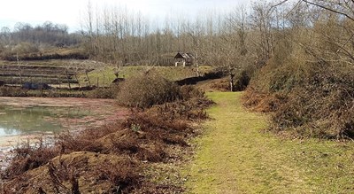 روستای ارزفون -  شهر ساری