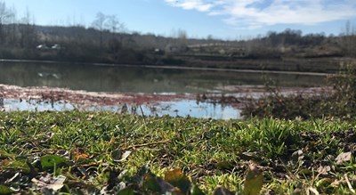  روستای ارزفون شهرستان مازندران استان ساری