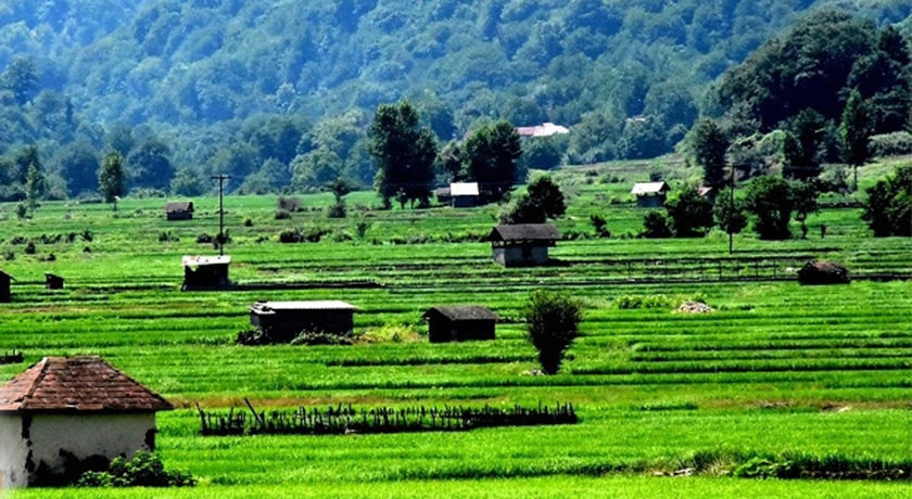  روستای پارت کلا شهرستان مازندران استان ساری
