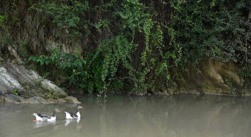  روستای سقندیکلا شهرستان مازندران استان ساری