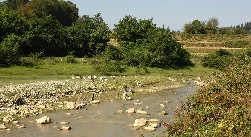  روستای سقندیکلا شهرستان مازندران استان ساری