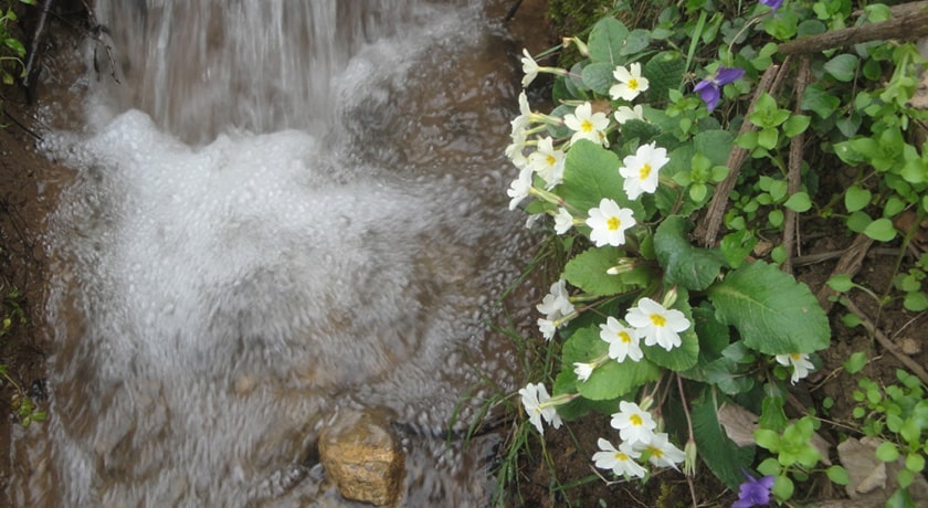 روستای میانا -  شهر مازندران