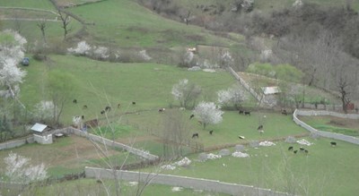  روستای میانا شهرستان مازندران استان ساری