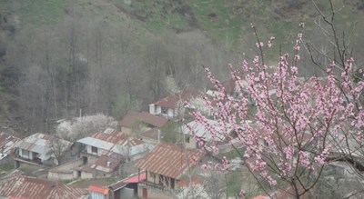  روستای میانا شهرستان مازندران استان ساری