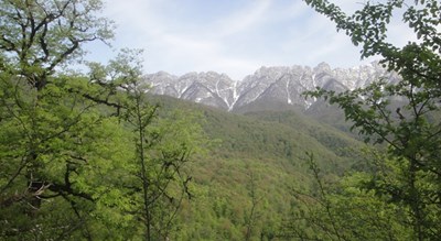  روستای میانا شهرستان مازندران استان ساری