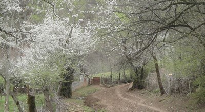  روستای میانا شهرستان مازندران استان ساری