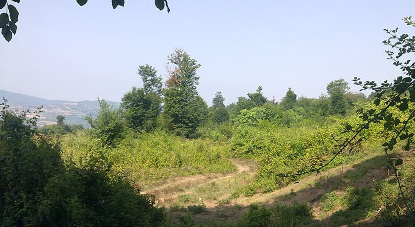  روستای آهو دشت شهرستان مازندران استان ساری