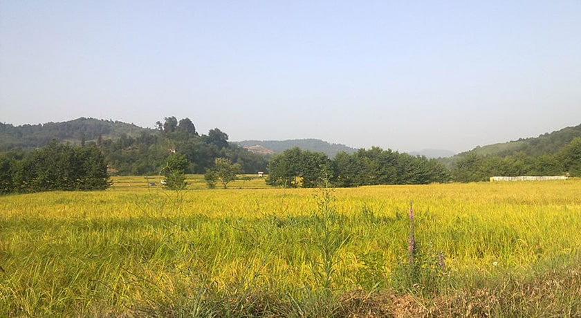 روستای آهو دشت شهرستان مازندران استان ساری