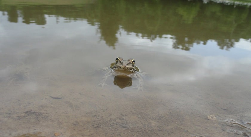 روستای سرخ ولیک -  شهر ساری