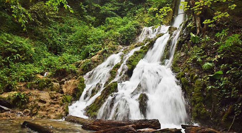  جنگل سنگده شهرستان مازندران استان ساری