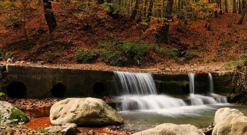 جنگل سنگده شهرستان مازندران استان ساری
