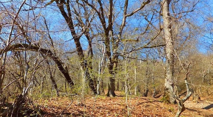  روستای اسکارد شهرستان مازندران استان ساری