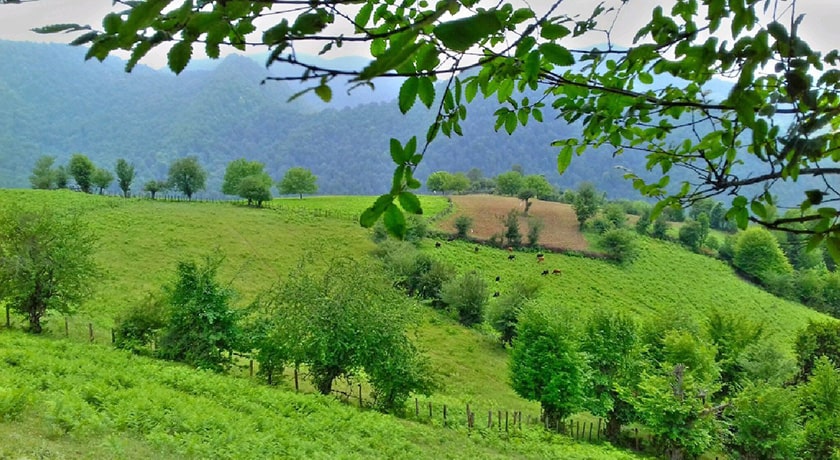  روستای خارخون شهرستان مازندران استان ساری