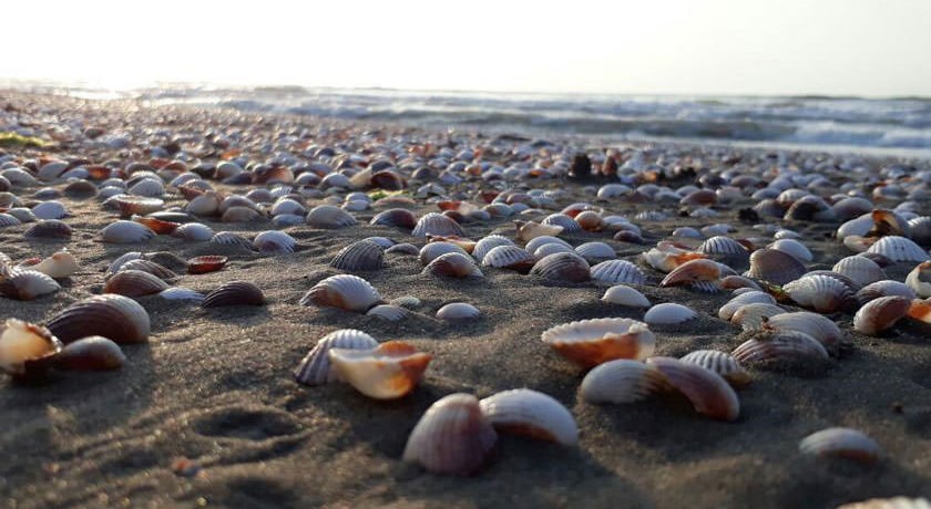  ساحل خزر آباد ساری شهرستان مازندران استان ساری