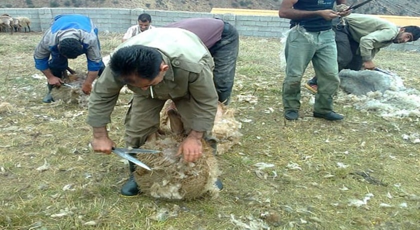  روستای کلکنار شهرستان مازندران استان ساری