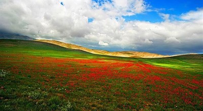  روستای واوسر شهرستان مازندران استان ساری