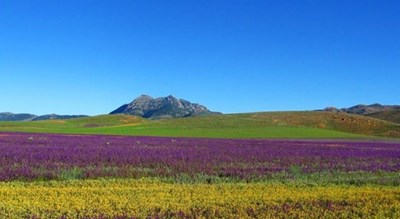  روستای واوسر شهرستان مازندران استان ساری