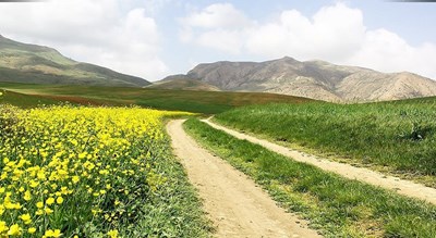  روستای واوسر شهرستان مازندران استان ساری