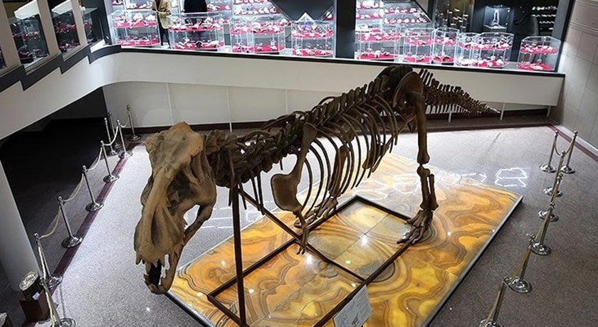  موزه علوم زمین شهرستان تهران استان تهران