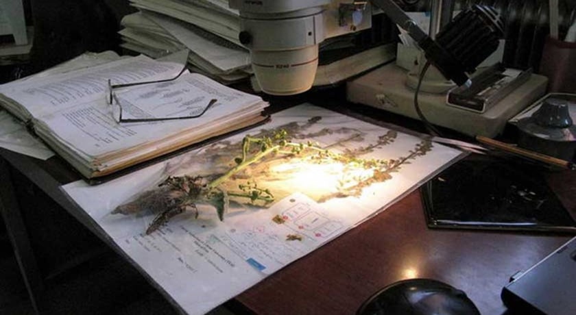  موزه گیاه شناسی دانشگاه تهران (هرباریوم مرکزی دانشگاه تهران) شهرستان تهران استان تهران