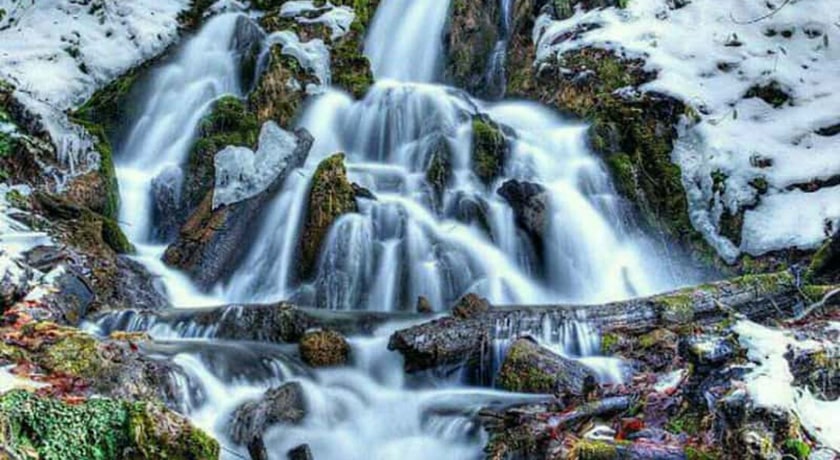  جنگل بولا شهرستان مازندران استان ساری