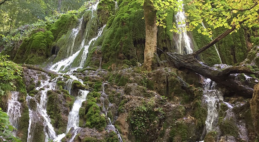  جنگل بولا شهرستان مازندران استان ساری