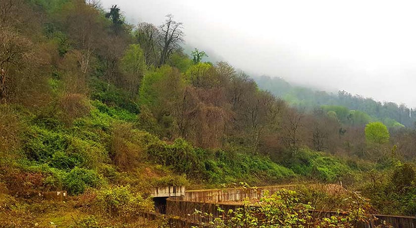  روستای چلک شهرستان مازندران استان نوشهر