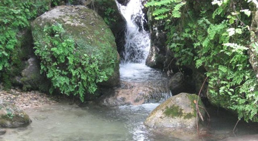  روستای عالی دره شهرستان مازندران استان نوشهر