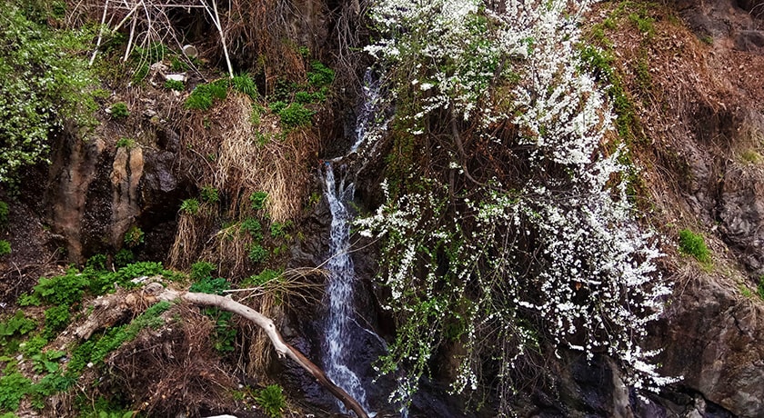  دربند شهرستان تهران استان تهران