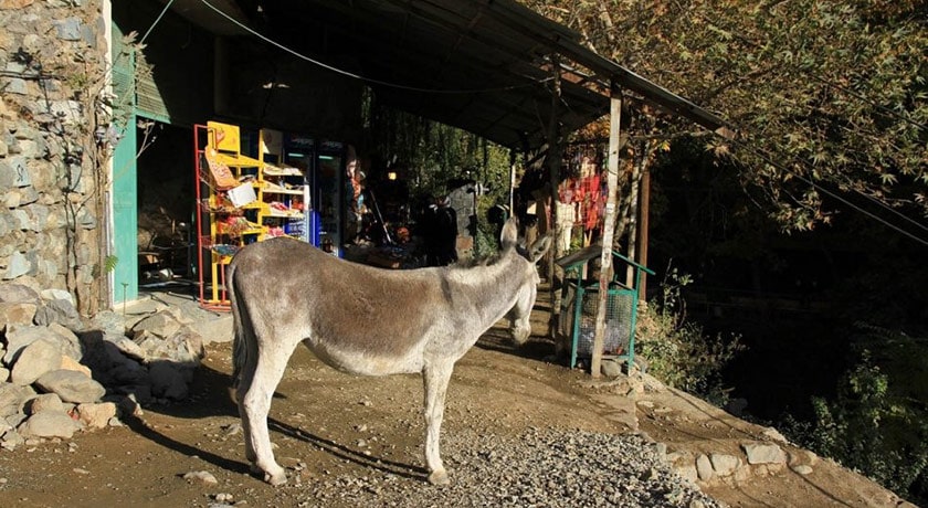  درکه شهرستان تهران استان تهران