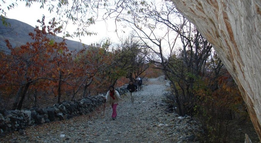  دشت هویج شهرستان تهران استان تهران