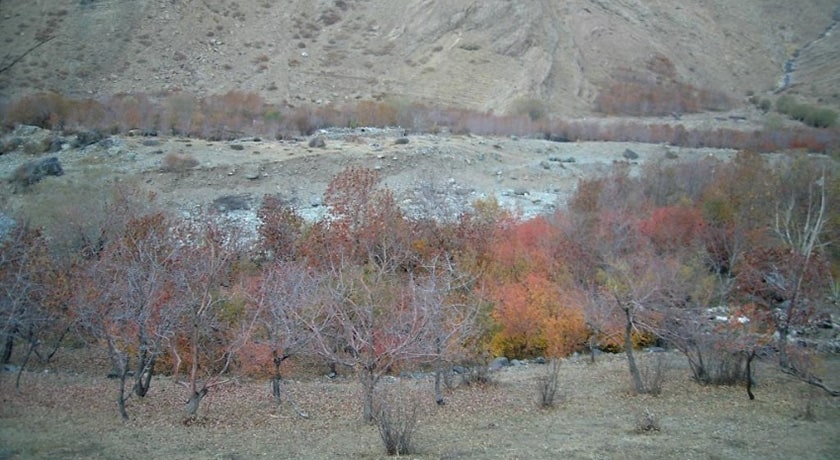  دشت هویج شهرستان تهران استان تهران